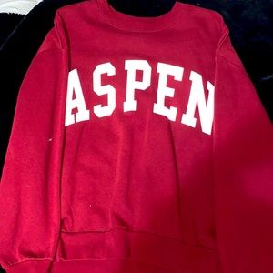 Maroon wild fable sweater